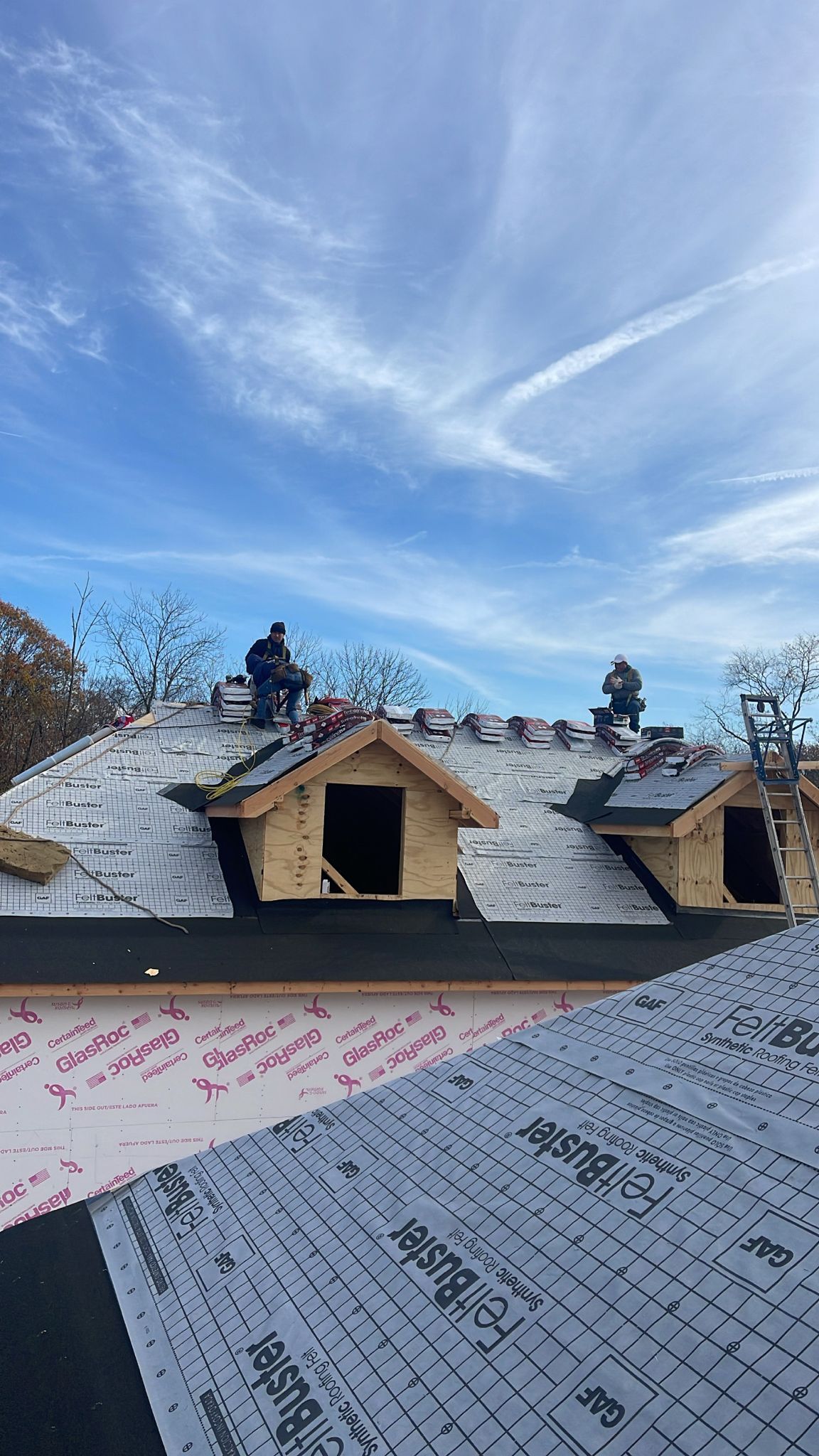 Exterior Renovation
